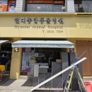 현대종합동물병원 이미지