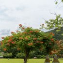 영은문화(주)