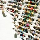 장전천3 이미지