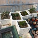 다소농장 이미지