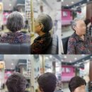 엘모가발