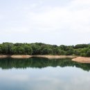 초록빛하루 이미지