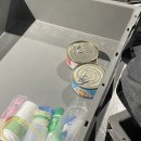 해도그린마트 | 7박 8일(1일차): 취리히 칵테일바, 라인 폭포 보트투어, 마트 구경 Coop &amp; Aldi, 그린 마멋 호텔 후기 등