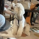 제로네간식타임 이미지