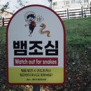 오라동주민센터 | 알베르 카뮈와 함께한 하루 : 탐라도서관의 매력 탐방.