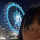 비에이치씨(BHC)속초청초점 | 뚜벅이의 속초 워케이션 3박 4일