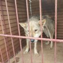 경북자동차공업사 이미지