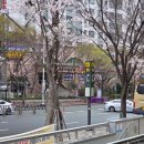 부산썬의원 이미지