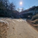 낙상산~성안산-(상주시 사벌면 금흔1리 원점회기)-250112