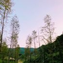 민지네 펜션 이미지