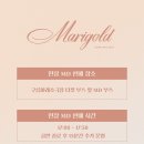 정효빈 (Jeong Hyo Bean) EP 발매 기념 콘서트 [Marigold] MD LIST🧡 이미지