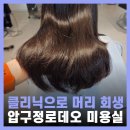 압구정로데오 미용실 클리닉 비오른헤어 장윤영 원장