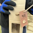 청룡농장 | 애플샤인농원 체험 후기: 아이와 함께 즐기는 농촌체험!