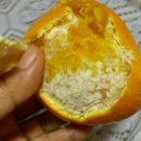 오렌지자동차정비 이미지