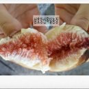 육일농장 이미지