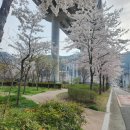 [대구 파동 카페] 파동 커피 맛집_이오커피(외관,내부,메뉴 등)-샌드위치★