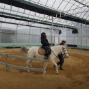 갈밭농장 | 경산에서 찾은 색다른 힐링농장, 포니힐링승마농원