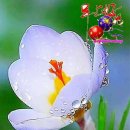 한양삼십리누리길 이미지