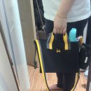 몽크닉 | 강아지 산책가방 6개월 동안 써본 후기