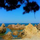 솔내음펜션 이미지