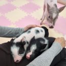 세종월드 이미지