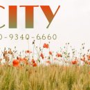 등대공인중개사사무소 이미지