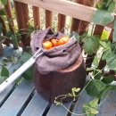 모시개민박 이미지