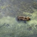 폭포낚시터 이미지