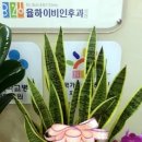 율하이비인후과의원 이미지