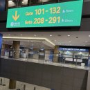 청사약국 | 인천공항 1터미널 탑승동 가는법 편의점 약국 면세점 인도장