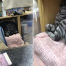 매표소 이미지