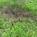 매곡농장 이미지