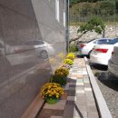 내서읍689 이미지