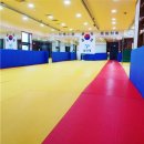 백곰유도관 네이버블로그
