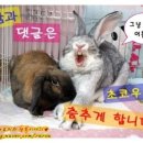 가베향 이미지