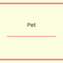 Pet# 이미지