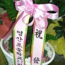 나주자동차헤드 이미지