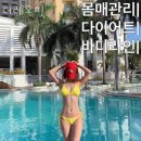 더 레오 핏 이미지