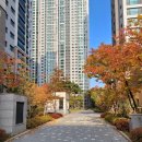 인덕원어린이집 이미지