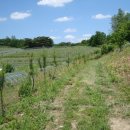 허니농장 이미지