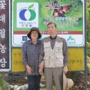 형제 농장5 이미지