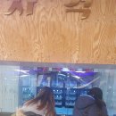 썬 게임랜드 이미지