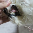 벳츠라이프 이미지