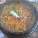 정드림고트