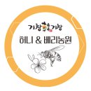 약초농원민박 | 와스디상점 | 첫번째 따스함, 새해선물 천연벌꿀 [나눔이벤트]