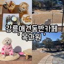 목과원 | 부모님과 함께하기 좋은 고즈넉한 강릉애견동반카페 '목과원' 다녀온 후기