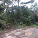 고미마을회관 이미지