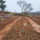 목화농원 이미지