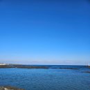 표선민속촌 주차장 이미지