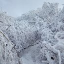 제114차 소백산 비로봉 산행 공지 이미지